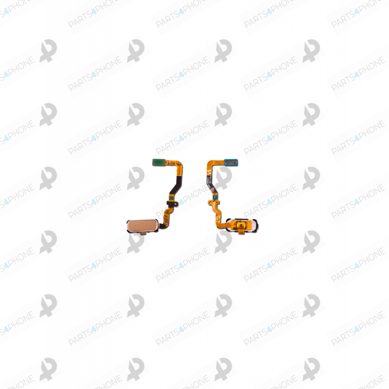 S7 (SM-G930F)-Galaxy S7 (SM-G930F), flex tasto home (Touch ID)-