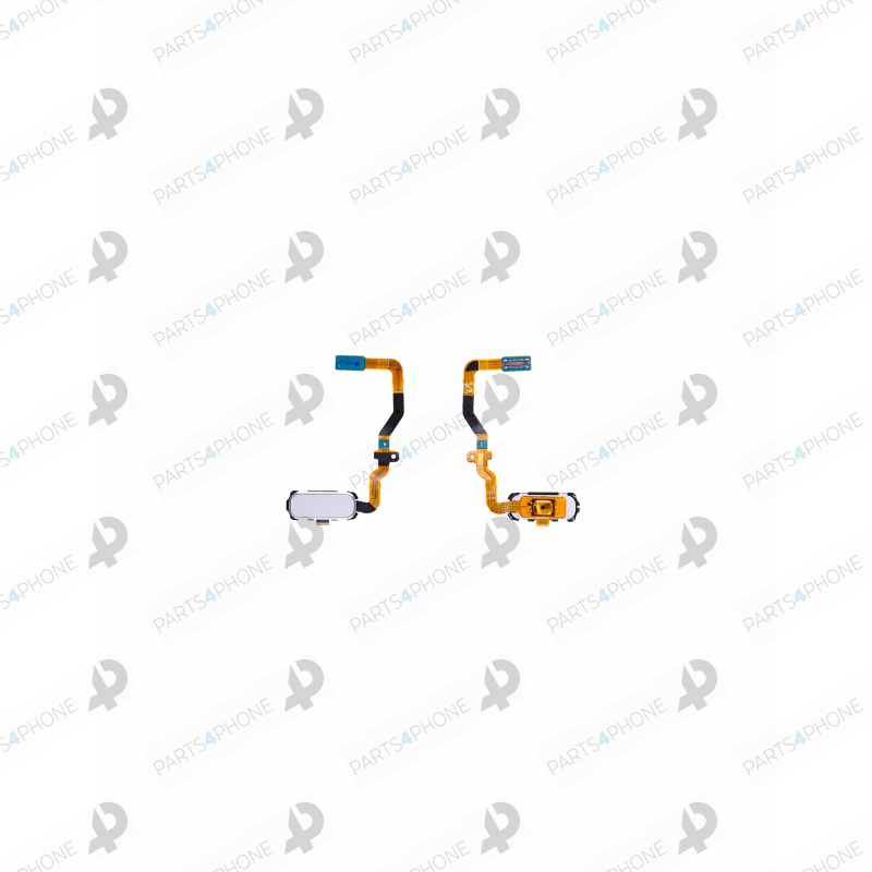 S7 edge (SM-G935F)-Galaxy S7 edge (SM-G935F), nappe bouton home (Touch ID)- S7 edge (SM-G935F)-Galaxy S7 edge (SM-G935F), nappe bouton home (Touch ID)-